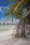 Chaaya Lagoon Hakuraa Huraa 